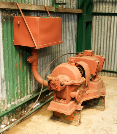 66445