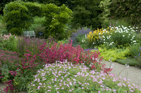 Herbaceous borders with penstemon and hardy geraniums in the Victorian garden at Arlington Court, Devon