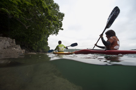 People kayaking on the Helford River, Cornwall.